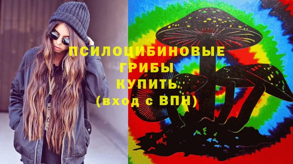 прущая мука Абаза