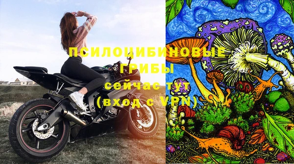 mdpv Осинники