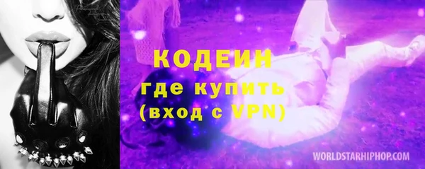 молекула духа Осташков
