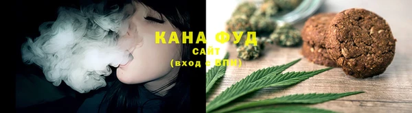 молекула духа Осташков