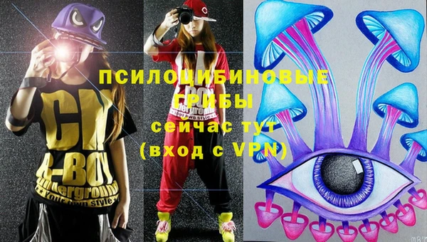 молекула духа Осташков