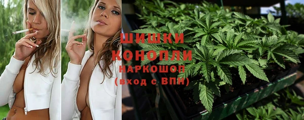 PSILOCYBIN Пересвет