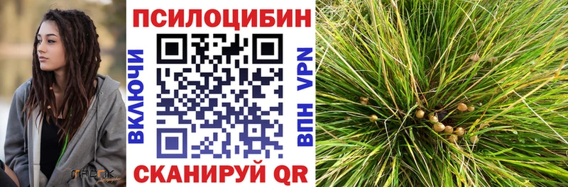 Псилоцибиновые грибы Psilocybine cubensis  Кумертау 
